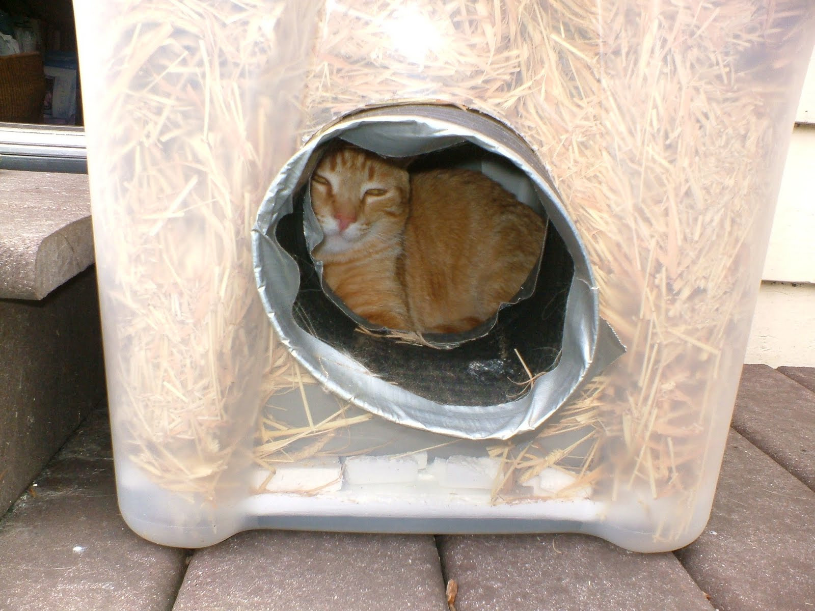 DIY Outdoor Cat Shelter
 The Very Best Cats How to Make a Winter Shelter for an