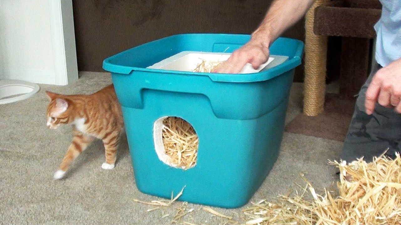 DIY Outdoor Cat Shelter
 How to Make a Feral Cat Shelter