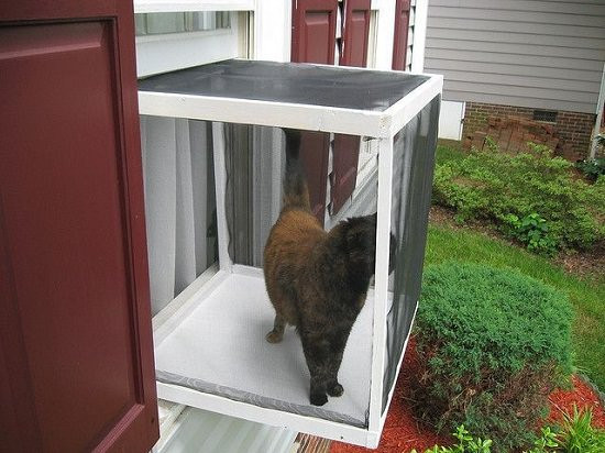 DIY Outdoor Cat Shelter
 12 DIY Outdoor Cat House Ideas For Winters