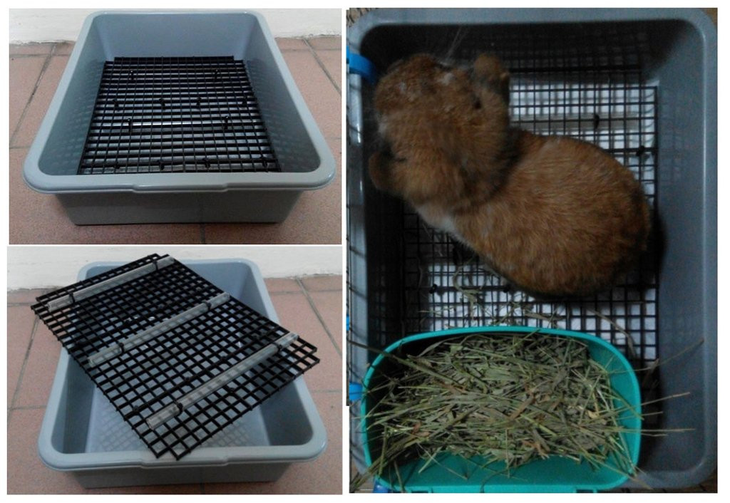 DIY Rabbit Litter Box
 DIY DREAMY PLETE LITTER BOX Eligible for Alien