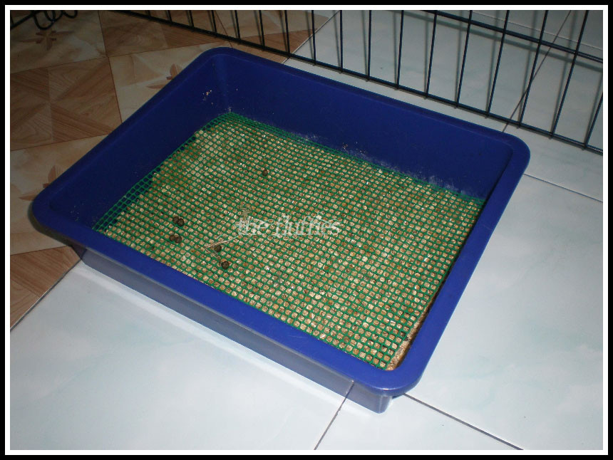 DIY Rabbit Litter Box
 DIY Littertray Idea For Bunny