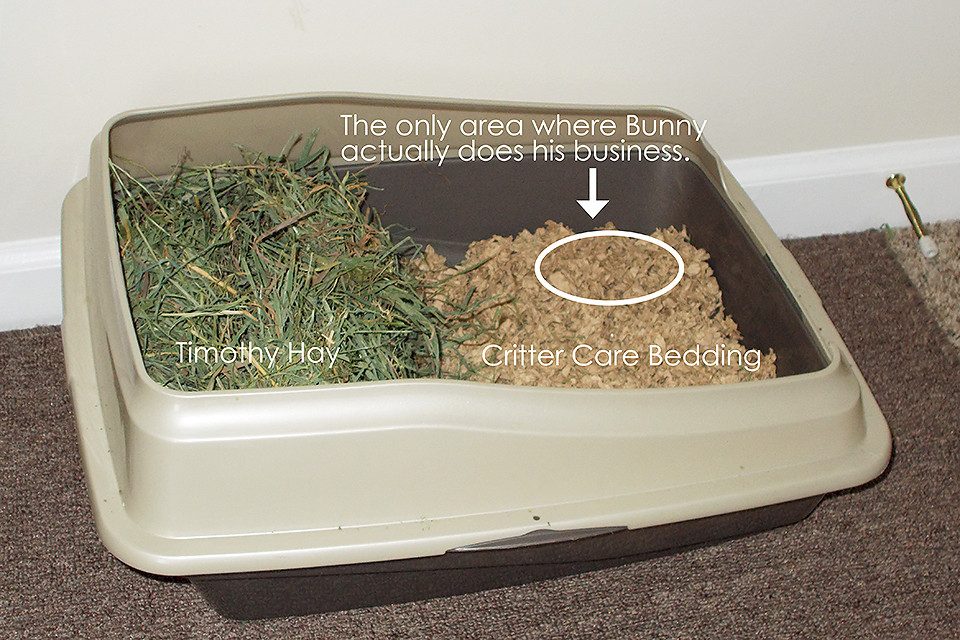 DIY Rabbit Litter Box
 Litter Box Set Up for Rabbits What are the Choices