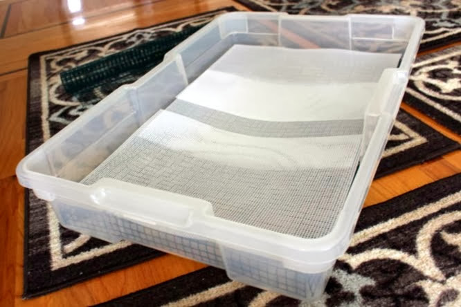 DIY Rabbit Litter Box
 DIY Litter Box Setups – Coding with Bunnies