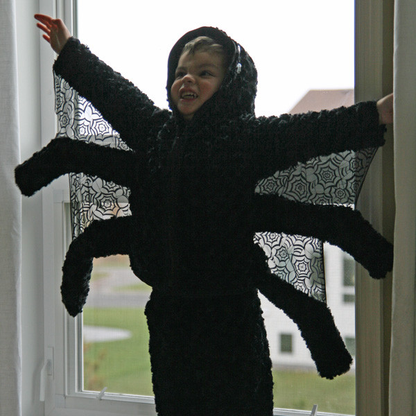 DIY Spider Woman Costume
 DIY Spider Costume