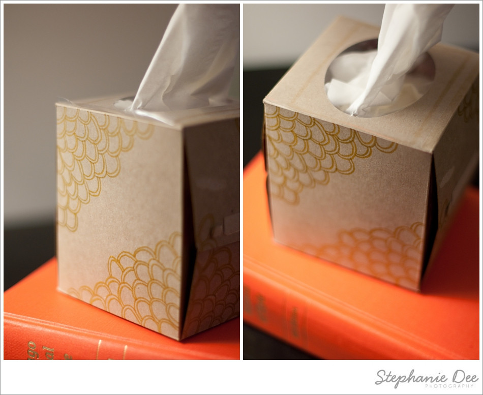 DIY Tissue Box
 DIY Diaries