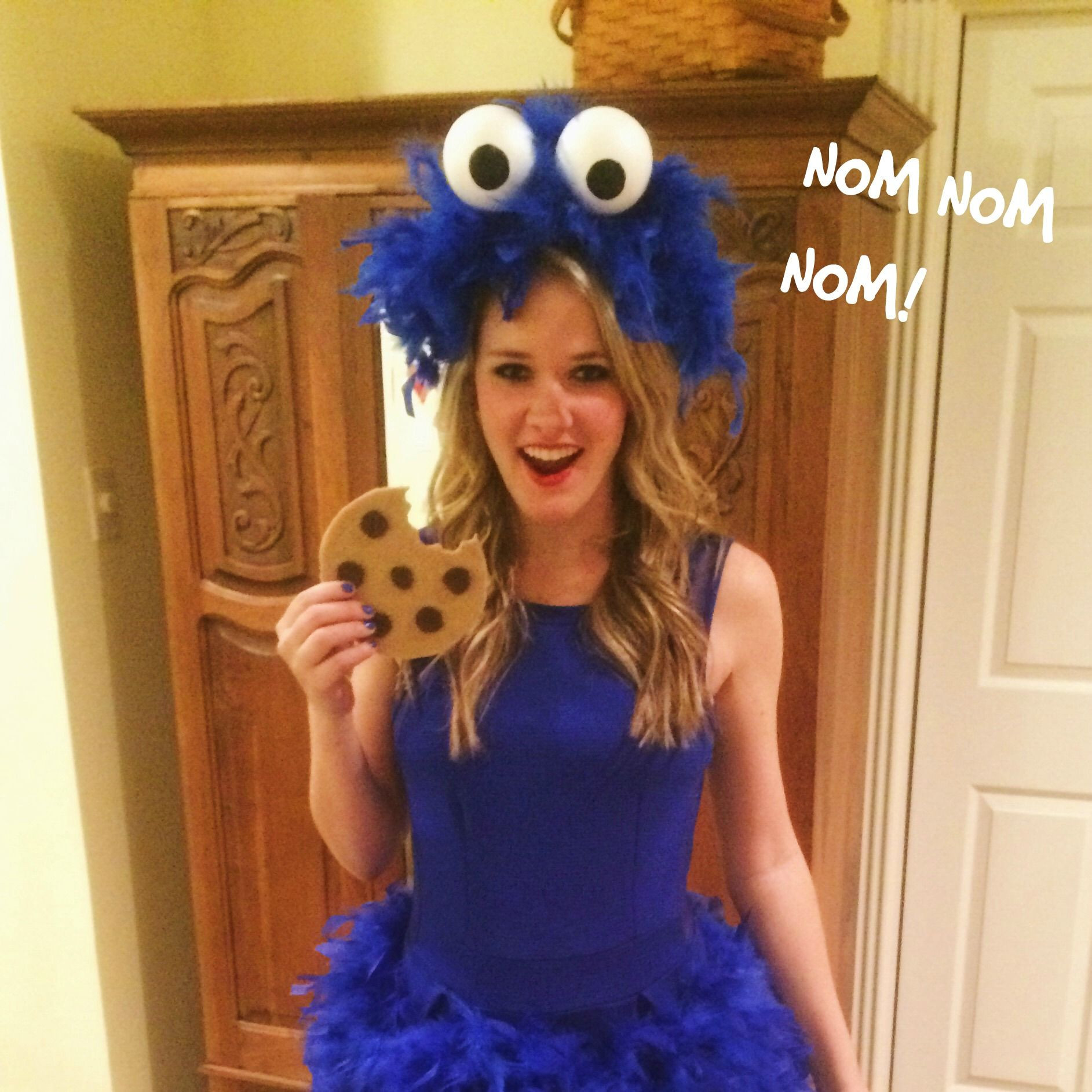 DIY Toddler Monster Costume
 DIY Cookie Monster Costume No Sew