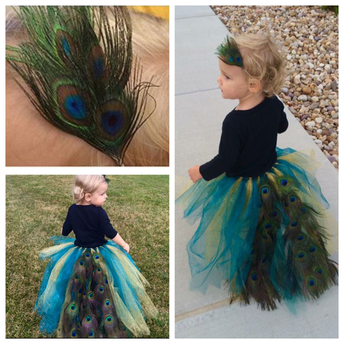 DIY Toddler Peacock Costume
 Pin on Heather