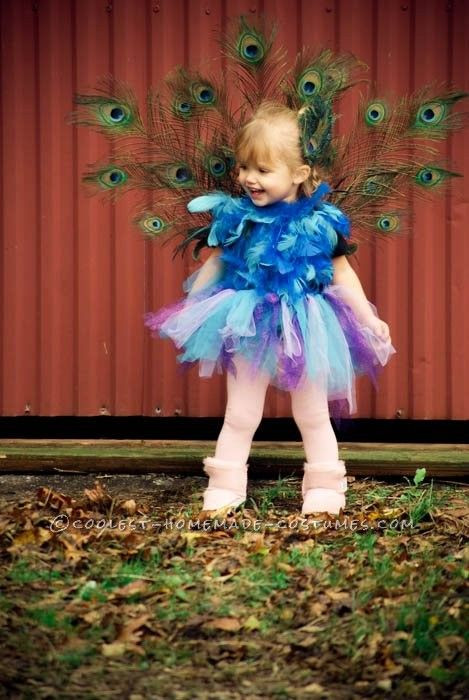 DIY Toddler Peacock Costume
 141 best images about Peacock Halloween Costume Ideas on