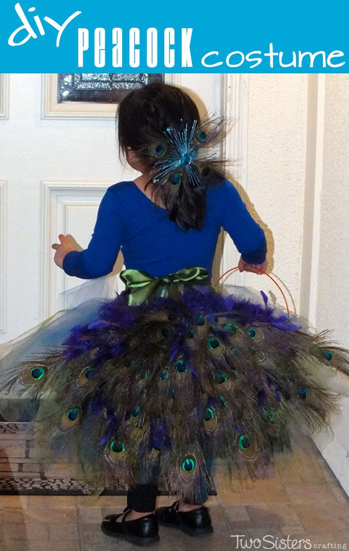 DIY Toddler Peacock Costume
 DIY Peacock Costume