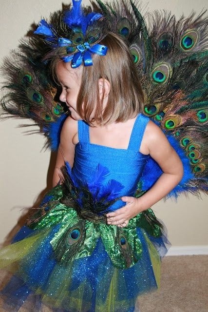 DIY Toddler Peacock Costume
 DIY peacock costume want to do this for my daughter