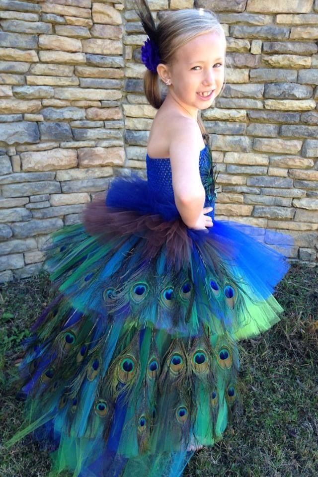 DIY Toddler Peacock Costume
 Peacock tutu feather pageant Halloween costume party dress