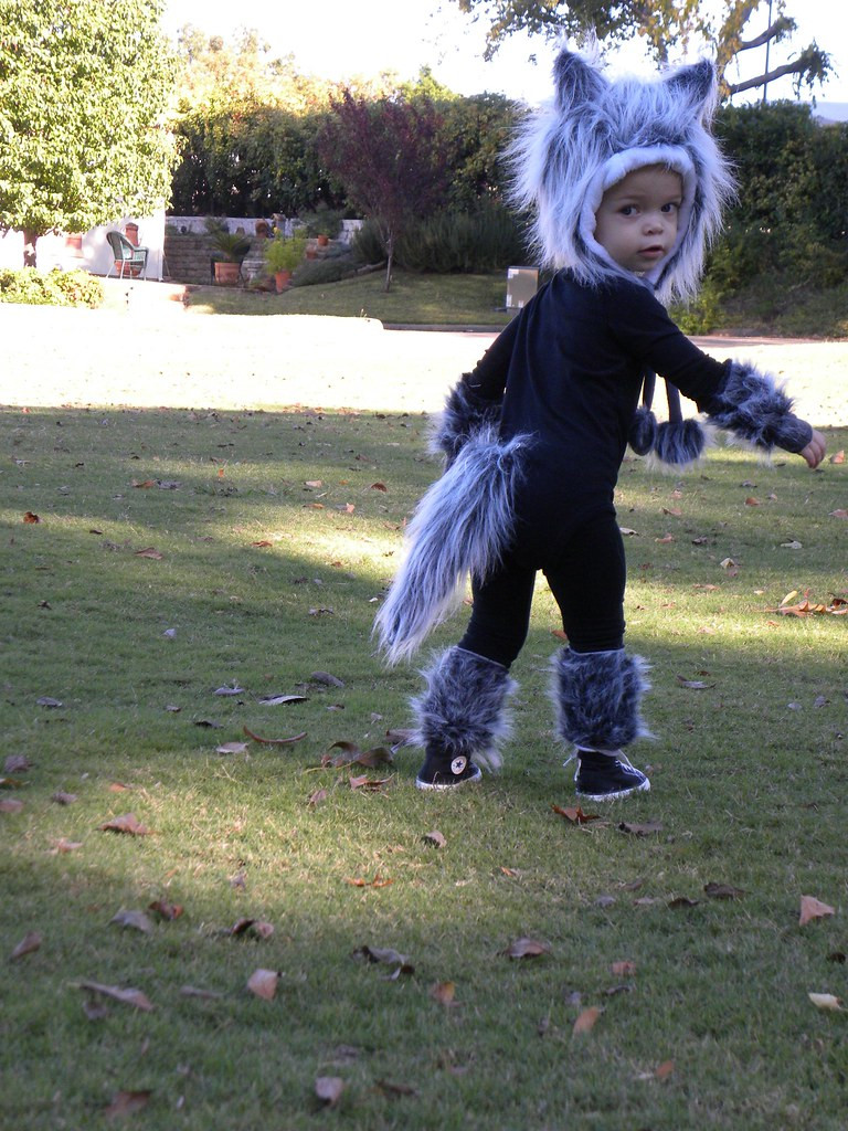DIY Toddler Wolf Costume
 Baby Wolf Costume