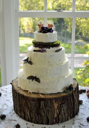 DIY Wedding Cakes
 Earthly Epicurean DIY Wedding Cakes