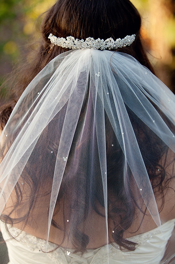 Diy Wedding Veils
 DIY Rhinestone Mickey Veil This Fairy Tale Life