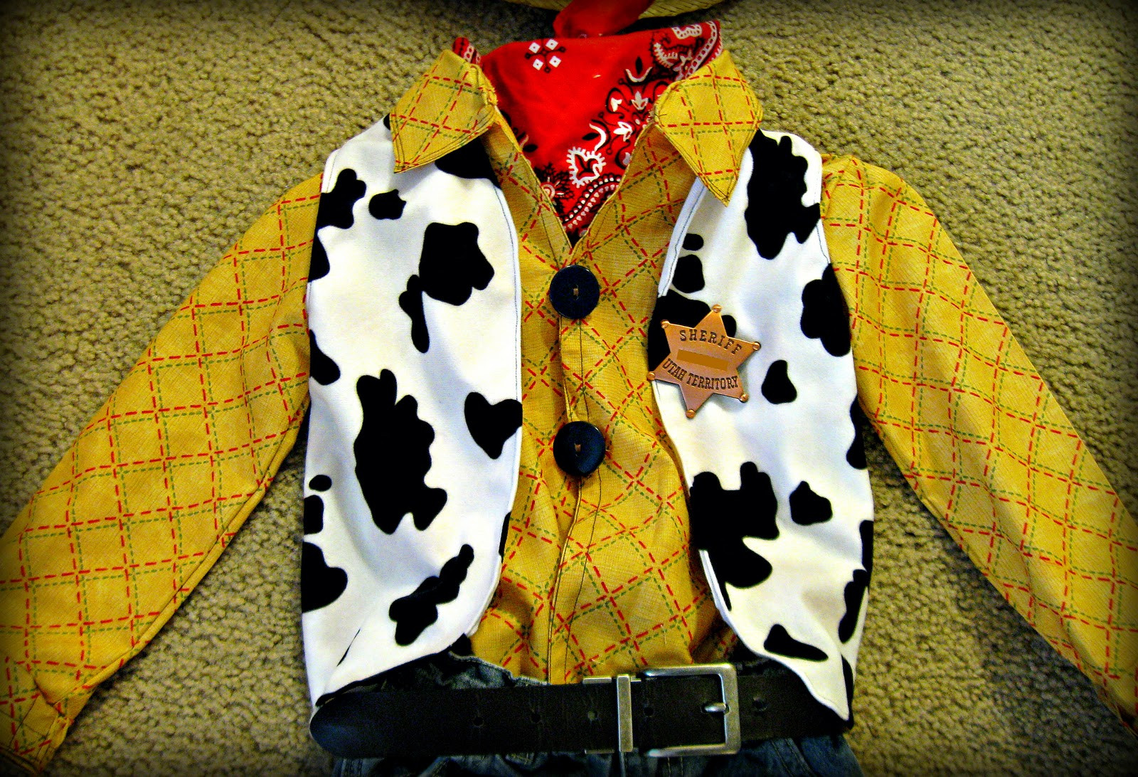DIY Woody Vest
 Freshly pleted Sheriff Woody