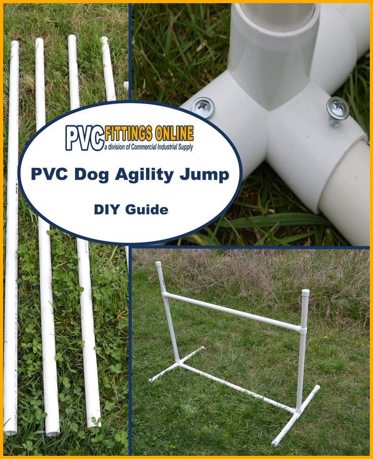 Dog Agility Jumps DIY
 DIY PVC Dog Agility Hurdle Jumps