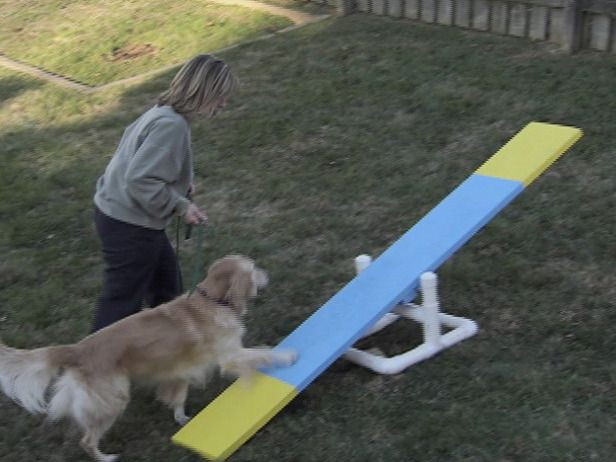 Dog Agility Jumps DIY
 25 bästa Dog agility idéerna på Pinterest