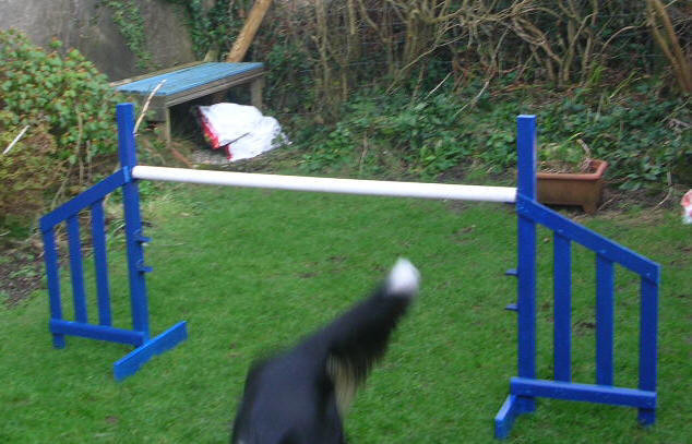 Dog Agility Jumps DIY
 Simple jump wings