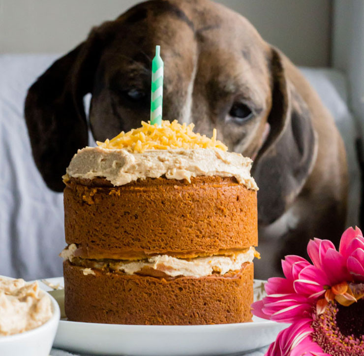 Dog Birthday Cake Recipe Easy
 14 Dog Birthday Cake & Cupcake Homemade Recipes PlayBarkRun