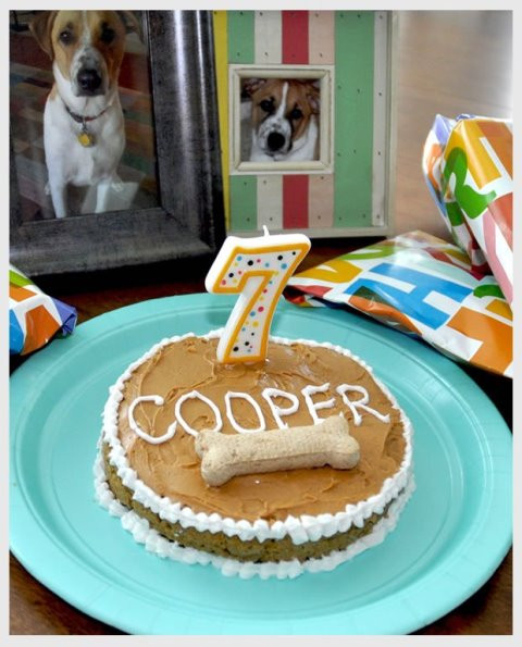 Dog Birthday Cake Recipes
 Doggie Birthday Cakes B Lovely Events