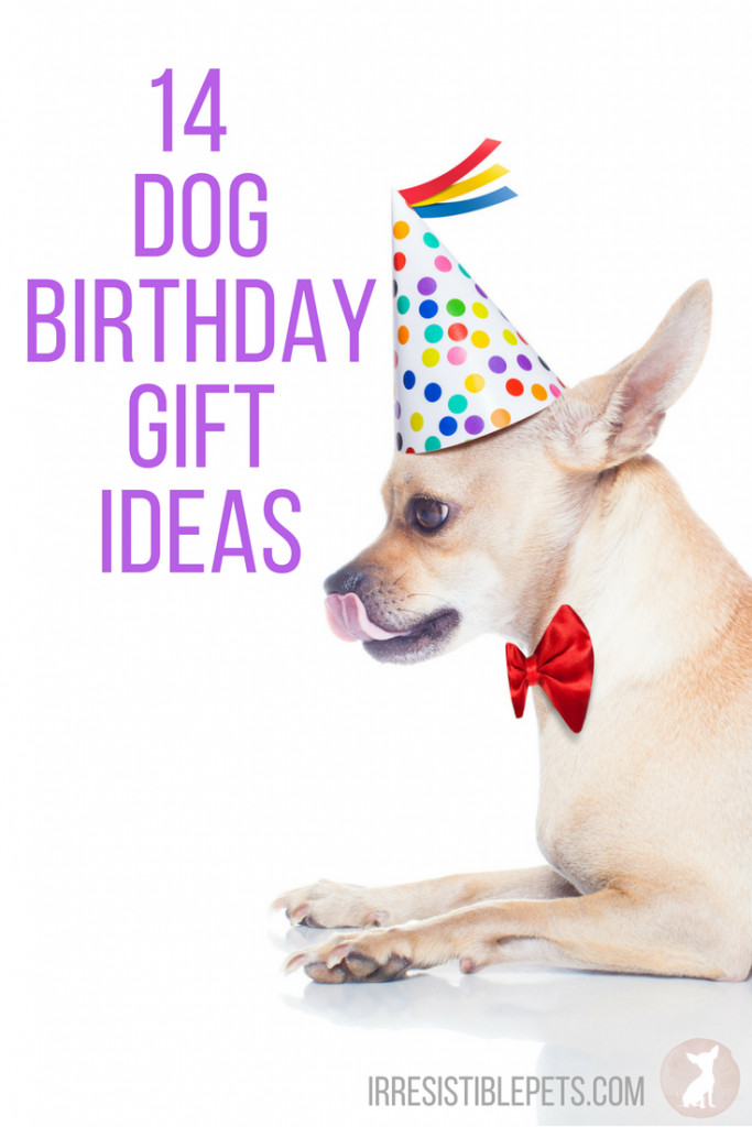 Dog Birthday Gifts
 14 Dog Birthday Gift Ideas Irresistible Pets