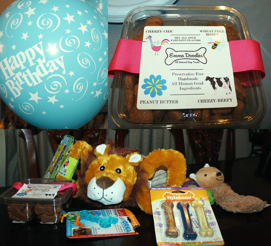 Dog Birthday Gifts
 Huxtable The Poodle Toy Poodle Blog