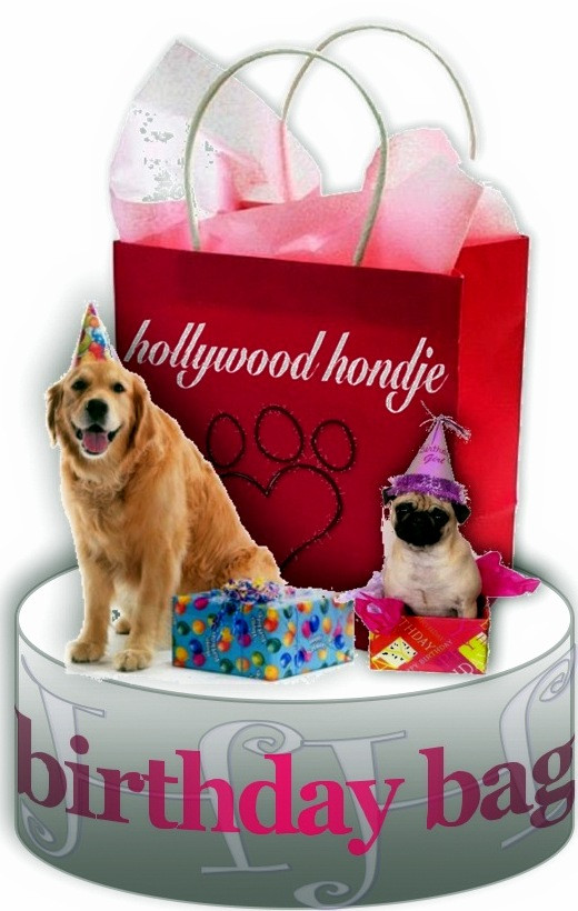 Dog Birthday Gifts
 Dog s Best Services and Friend Dog Birthday Gift
