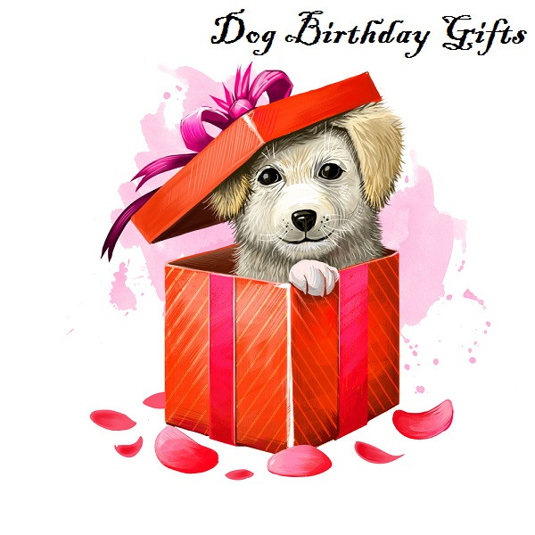 Dog Birthday Gifts
 Hidden Gems – Dog Birthday Gifts