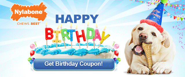 Dog Birthday Gifts
 5 Birthday Gift Ideas For Your Dog
