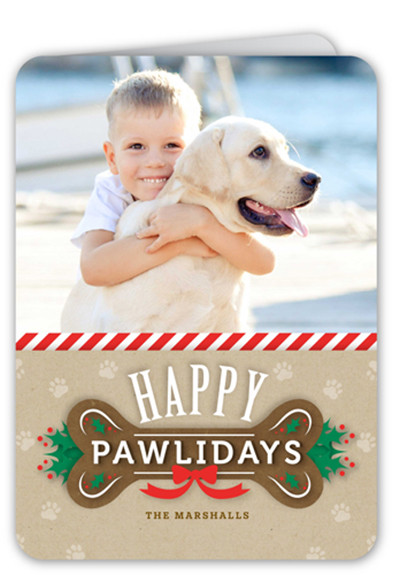 Dog Christmas Quotes
 12 Christmas Card Ideas With Dogs