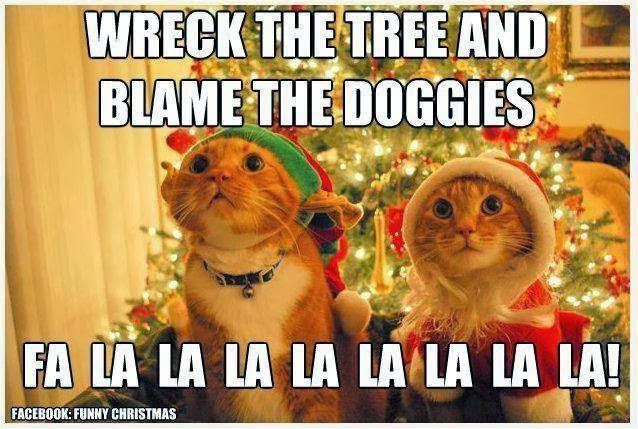 Dog Christmas Quotes
 Cute and Funny and more What Christmas is like