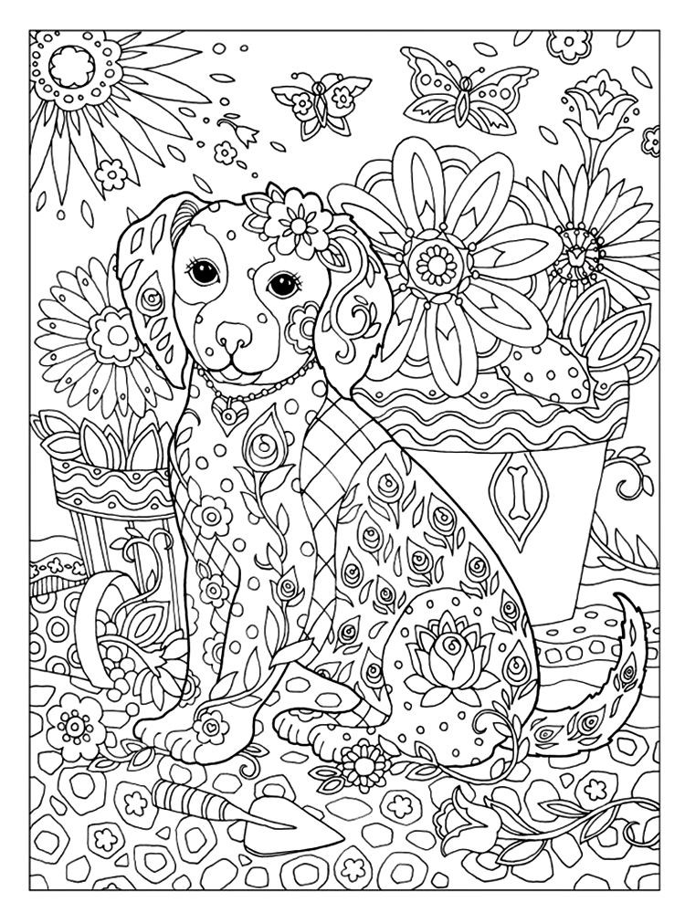 Dog Coloring Book For Adults
 Marjorie Sarnat Dazzling Dogs