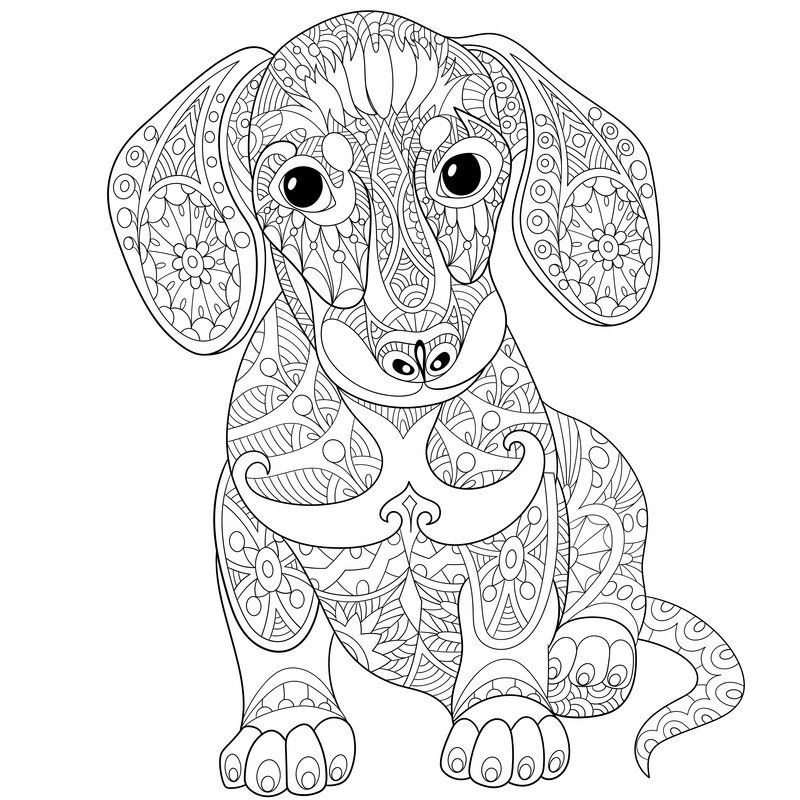 Dog Coloring Book For Adults
 Image result for adult colouring zentangle