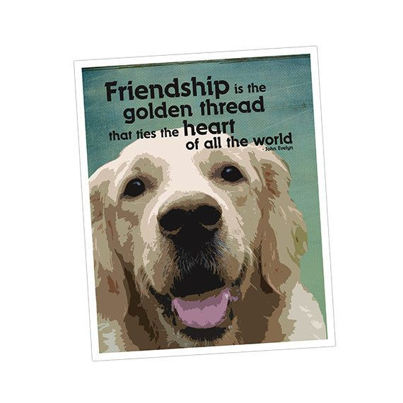 Dog Friendship Quotes
 Girls Best Friend Dog Quotes QuotesGram