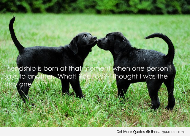 Dog Friendship Quotes
 Sweet Quotes About Dogs QuotesGram