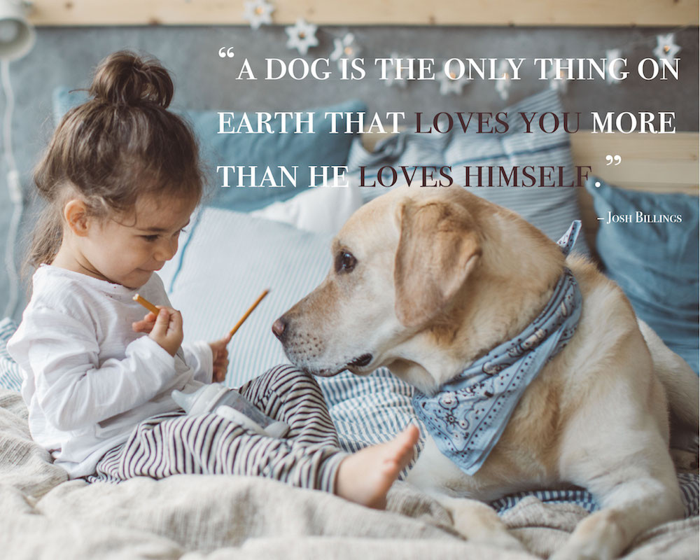 Dog Friendship Quotes
 80 Dog Quotes Captions and Messages