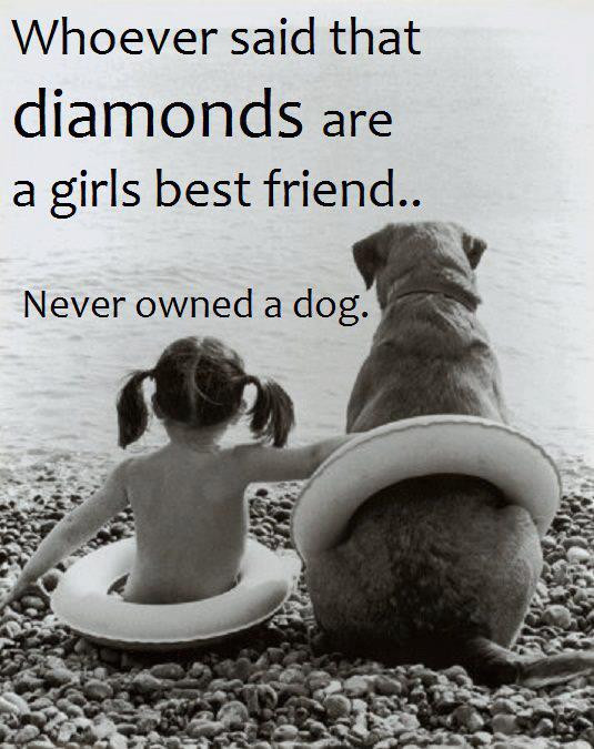 Dog Friendship Quotes
 Dog Quotes 365greetings