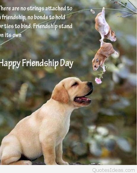 Dog Friendship Quotes
 HAPPY FRIENDSHIP DAY QUOTES FUNNY image quotes at