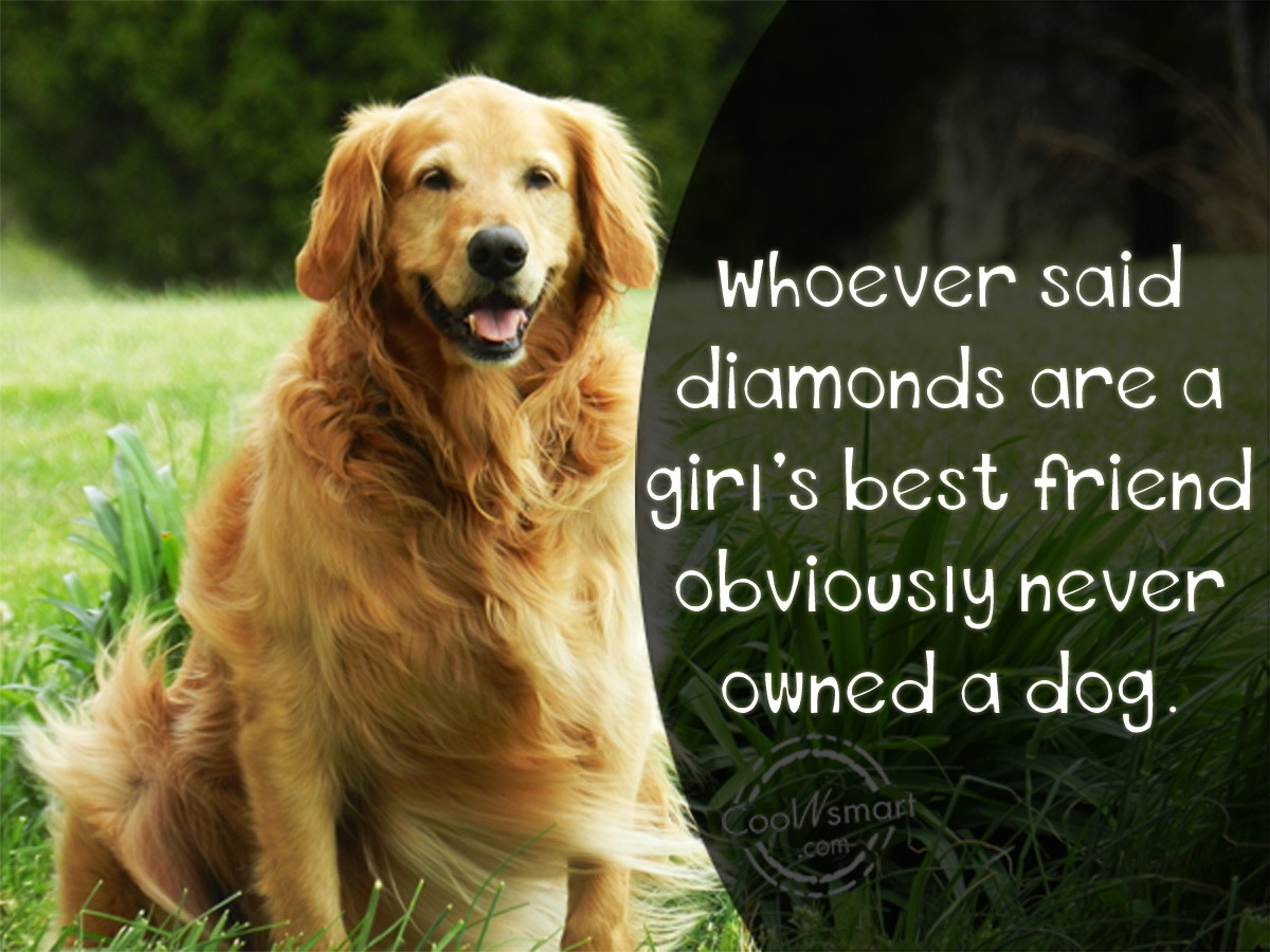 Dog Friendship Quotes
 Dog Quotes And Sayings QuotesGram