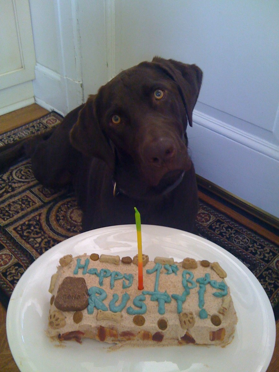 Doggie Birthday Cakes
 Dog Birthday Cake BigOven