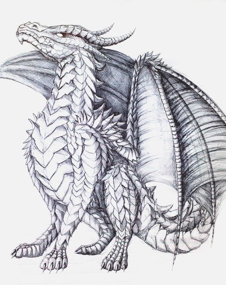 Dragon Coloring Books For Adults
 The Proud e by AlmieLiandri on DeviantArt Dragon Fantasy