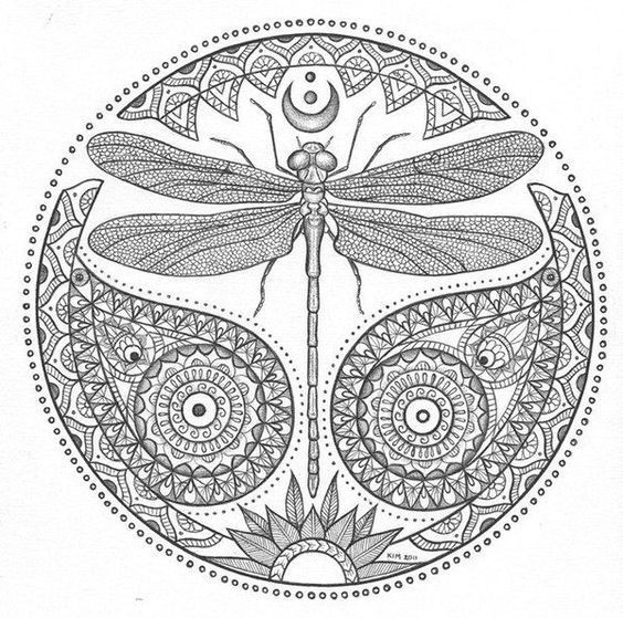 Dragonfly Coloring Pages For Adults
 תוצאת תמונה עבור ‪dragonfly mandala‬‏
