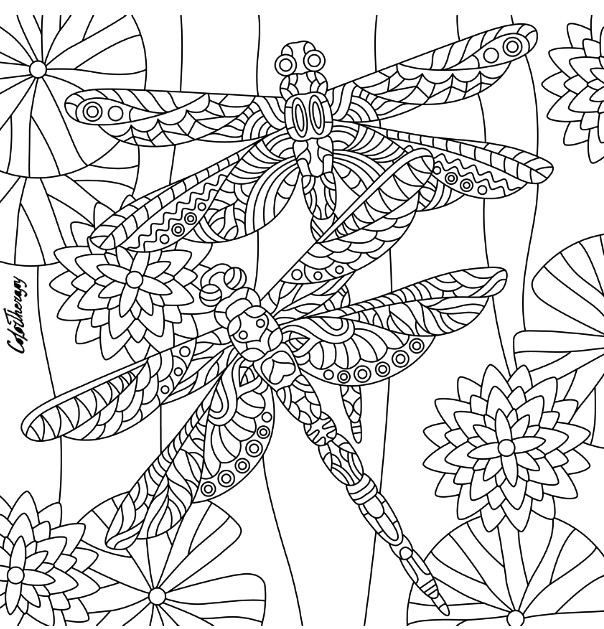Dragonfly Coloring Pages For Adults
 789 best Animal Coloring Pages for Adults images on