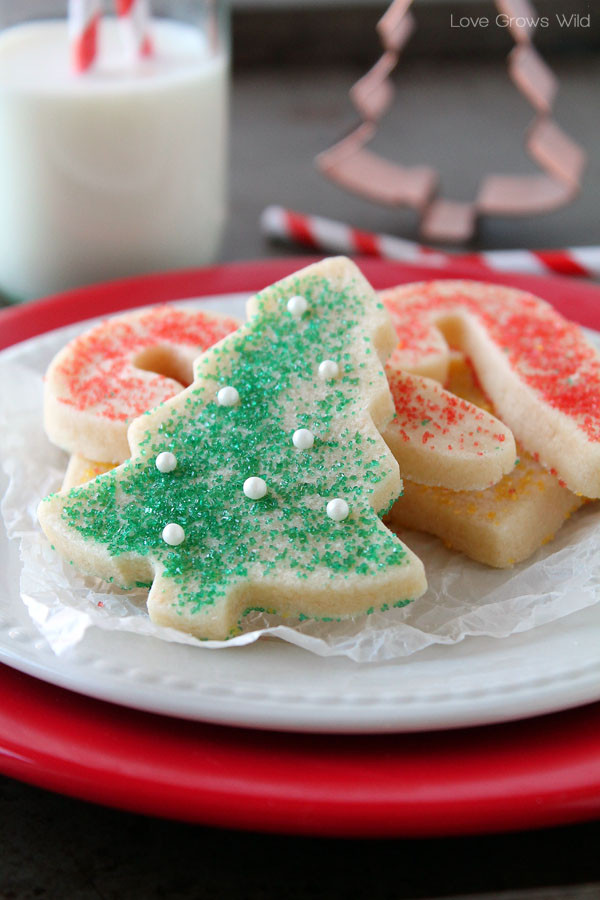 Easy Cutout Sugar Cookies Recipe
 EchoPaul ficial Blog PERFECT SUGAR COOKIE CUT OUTS