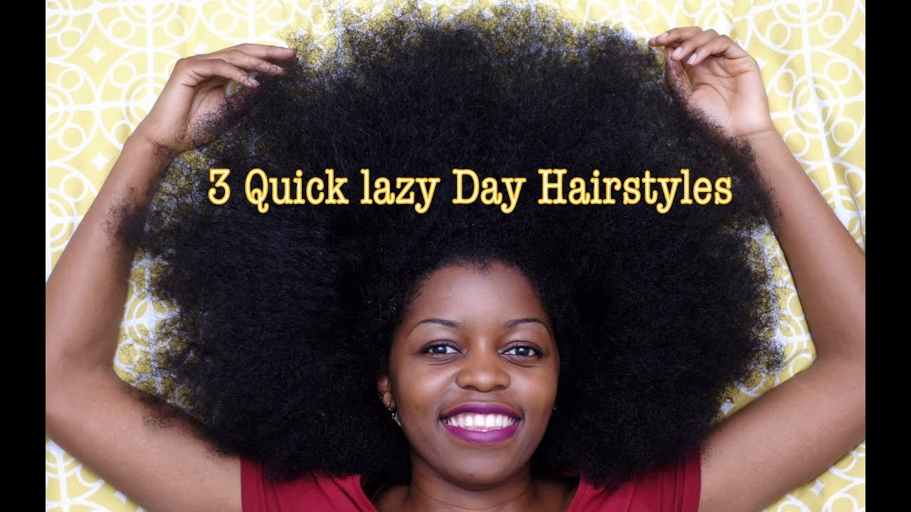 Easy Quick Natural Hairstyles
 3 Quick Lazy Day Hairstyles for Natural Hair
