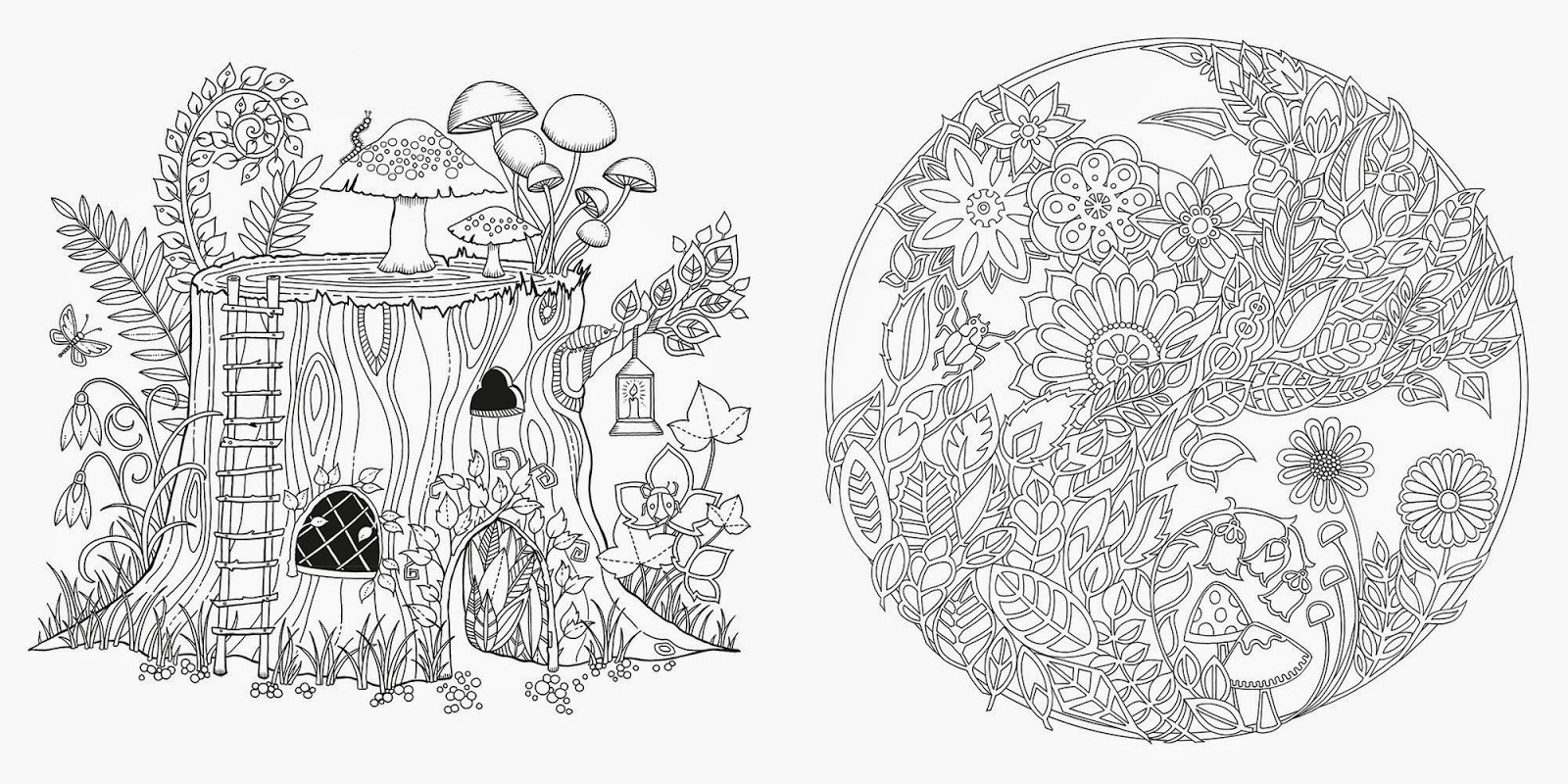 Enchanted Forest Adult Coloring Book
 enchanted forest coloring pages