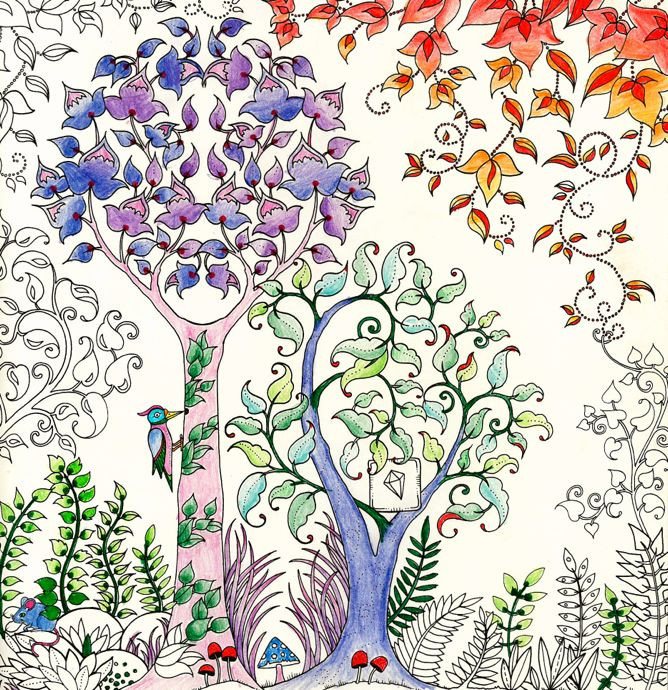 Enchanted Forest Adult Coloring Book
 Johanna Basford Enchanted Forest Secret Garden Addictive