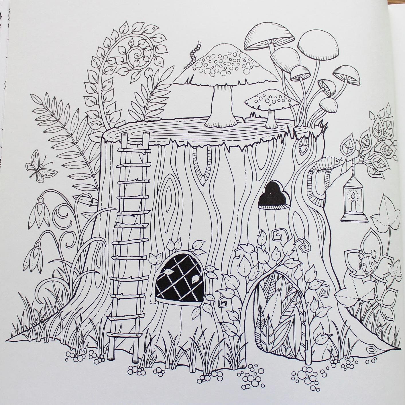 Enchanted Forest Adult Coloring Book
 Пин на доске Coloring for a rainy day