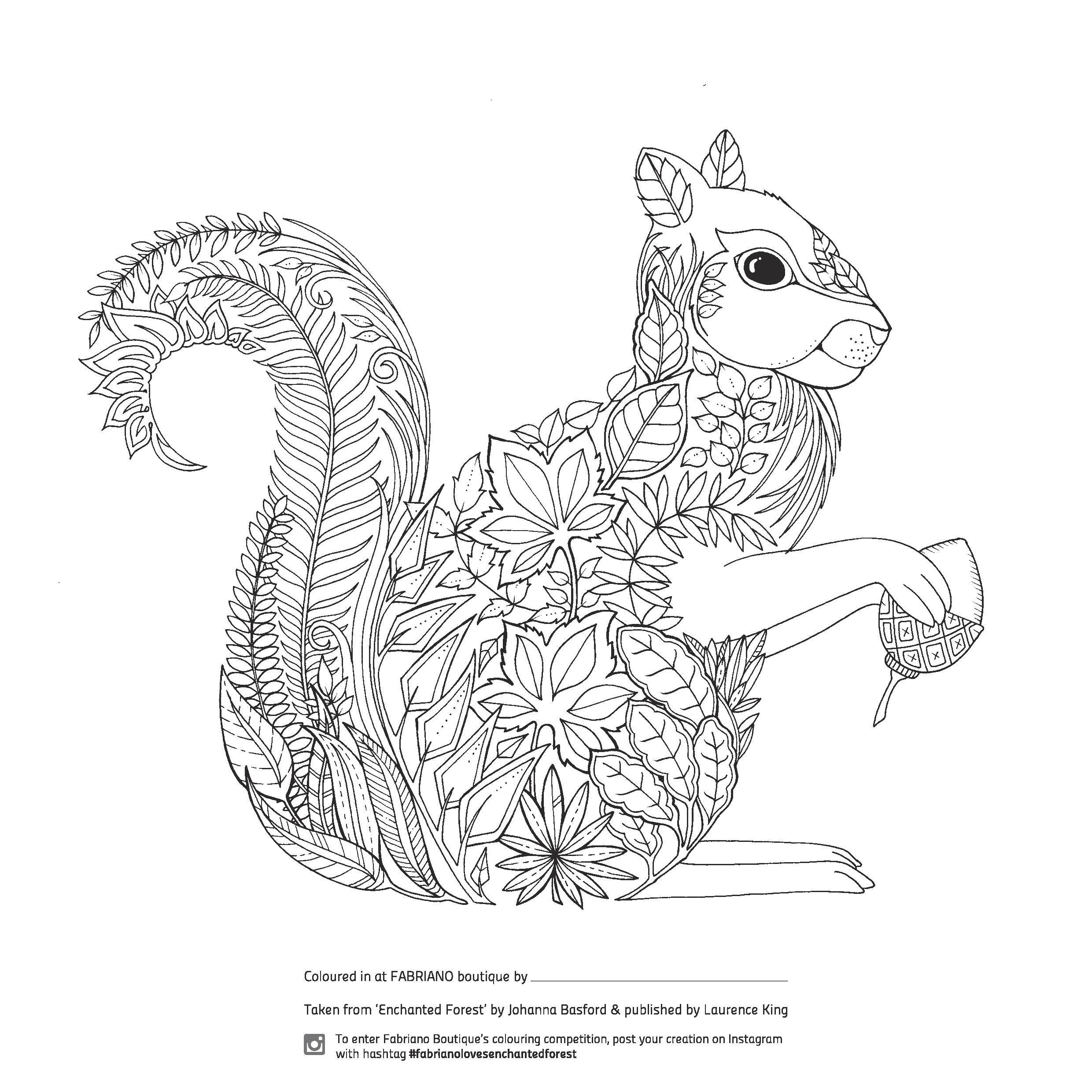 Enchanted Forest Adult Coloring Book
 Enchanted Forest Colouring petition at Fabriano