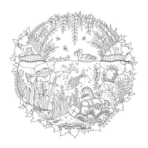 Enchanted Forest Adult Coloring Book
 Artist Johanna Basford Enchanted Forest Coloring pages